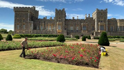 Windsor Castle’s East Terrace Garden opens to the public for the first time in decades