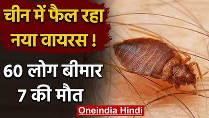 Coronavirus के बाद China में एक और इंफेक्शन, अब तक 7 की मौत, 60 से ज्यादा संक्रमित | वनइंडिया हिंदी