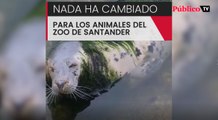 Focas y pingüinos abandonados a su suerte en Santander