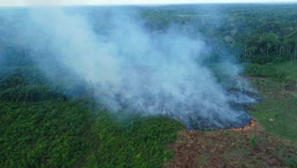 Wildfires rage in Amazon rainforest