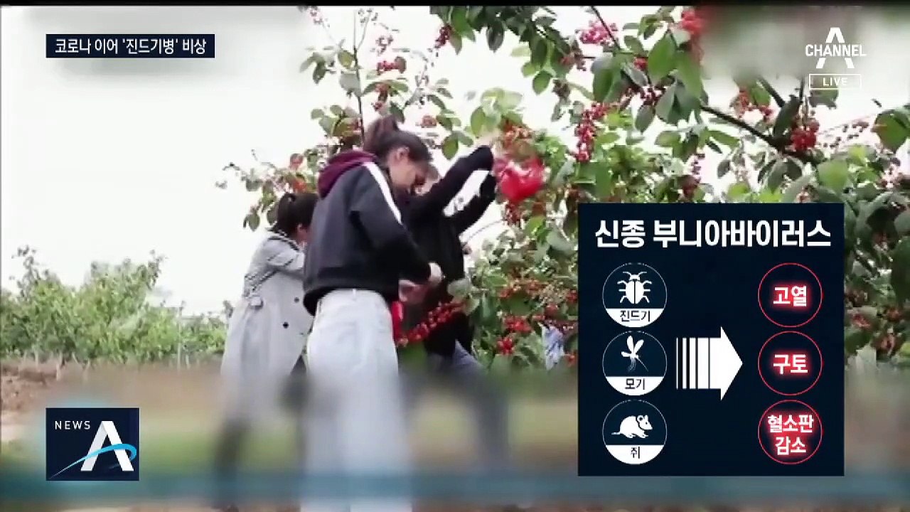 中, 진드기병으로 7명 사망…“사람 혈액·점막 통해 감염 가능”