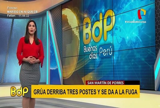 Grúa derriba tres postes de alumbrado público y se fuga en SMP