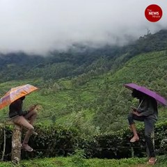 In Kerala's Idukki, children walk long distances to access mobile signal for online class