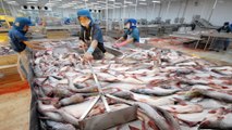 Thủy sản Việt Nam sẵn sàng tăng tốc vào EU | VTC