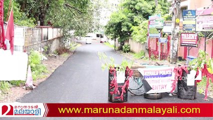 About homeopathic medicine