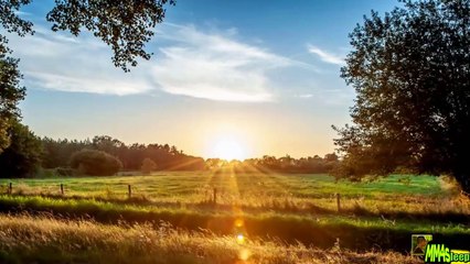  FULL MUSIC to Soothe ANGER: "A Touch of Calm" - Calming, Peaceful, Harmony, Relaxing  N° 199 - Dailymotion