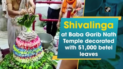51 हजार पान के पत्तों से सजाया गया बाबा गरीब नाथ मंदिर में शिवलिंग