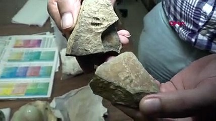 Antalya ve Konya'da 500 milyon yaşında iki fosil bulundu