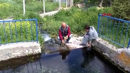 Köyün her tarafından yer altı suyu çıkıyor