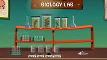 Study of Physical Properties of Soil