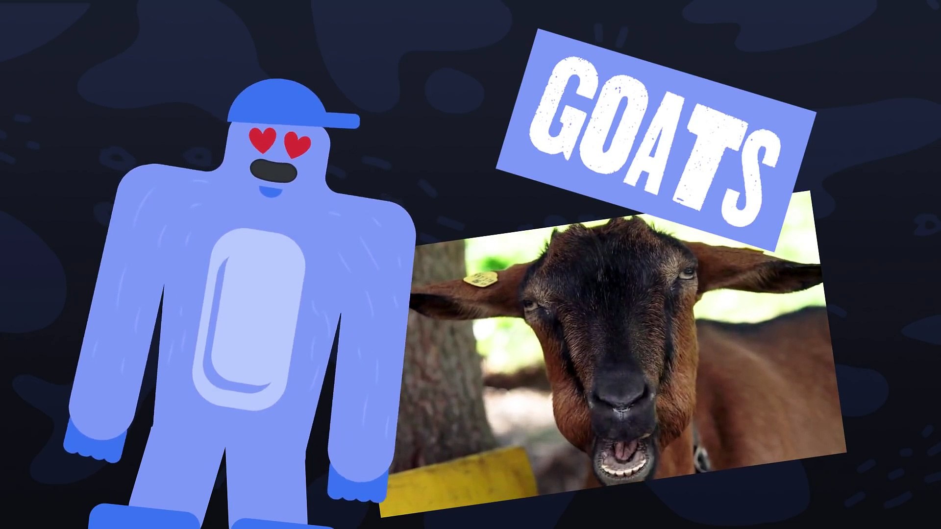 ⁣Présentation de la suppression de bruit Discord  iOS