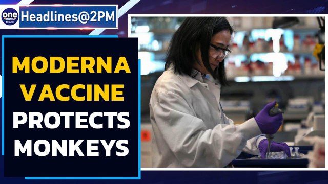 Moderna vaccine protects monkeys, next: 30,000 humans on trial | Oneindia News
