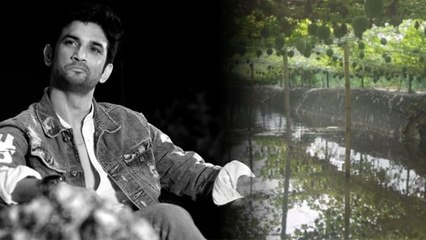 Sushant Singh Rajput Bollywood छोड़ ये करना चाहते थे; Rhea ने नहीं करने दिया ये काम | FilmiBeat