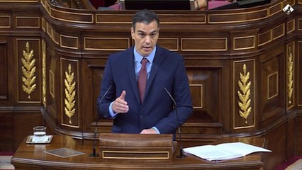 Sánchez reclama "unidad" en España como en Europa