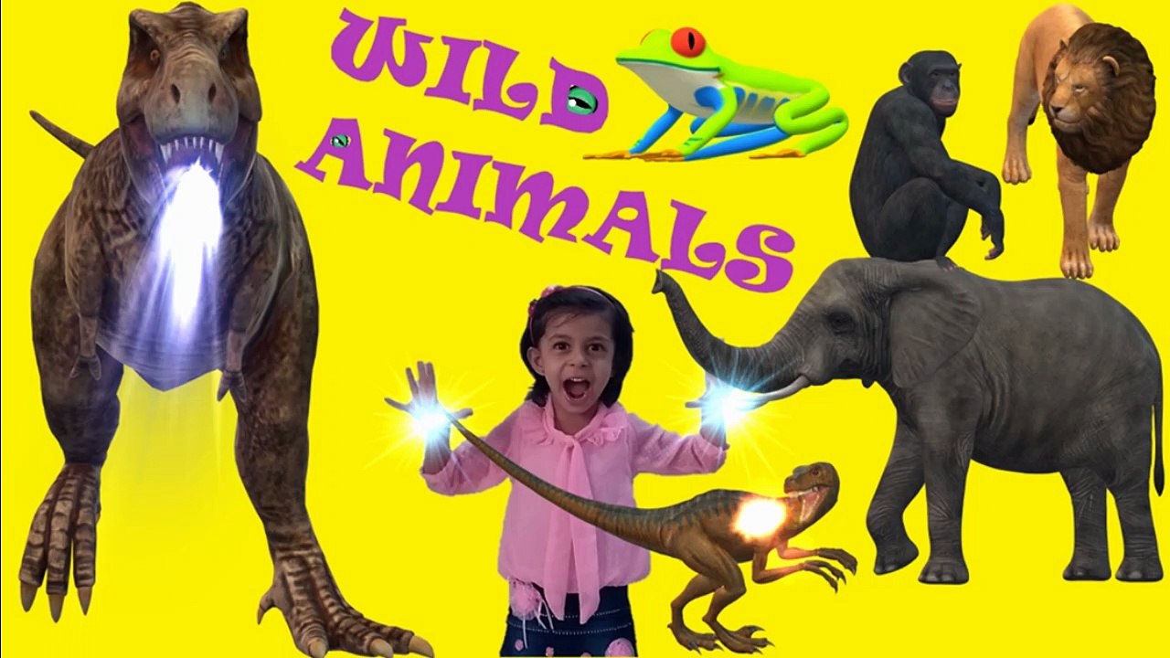 Wild Animals | Wild Animals in 3d Picture Name Sound For Kids | जंगली जानवरों का नाम | Animals Name