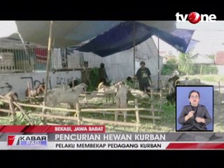 Waspada! Jelang Idul Adha Pencurian Hewan Kurban Makin Marak