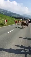 Mondiali ciclismo 2018 - Allenamento insolito per la Spagna in Austria