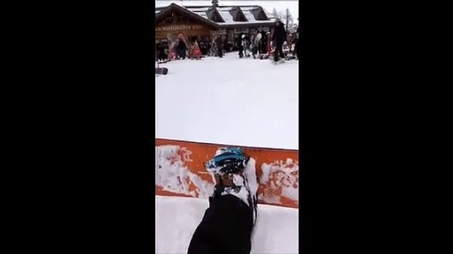 Francesca Sofia Novello bellissima anche in tenuta da... neve: occhialoni e snowboard per la fidanzata di Valentino Rossi