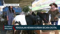 Inovasi Penjualan Hewan Kurban, Secara Digital hingga Beri Nama Artis