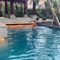 Genie Bouchard sexy sirenetta in piscina: la tennista rischia di perdere il costume!