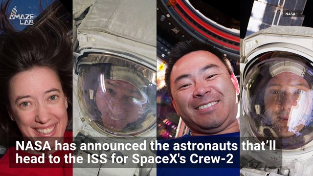 NASA Announces Astronauts Going to ISS on SpaceX Crew-2 Mission