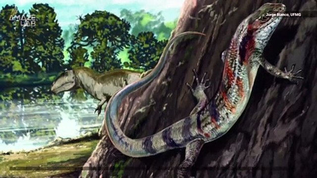 Oldest South American Fossil Lizard Jaw Found in Brazil