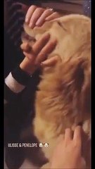 MotoGp - Natale in famiglia per Valentino Rossi