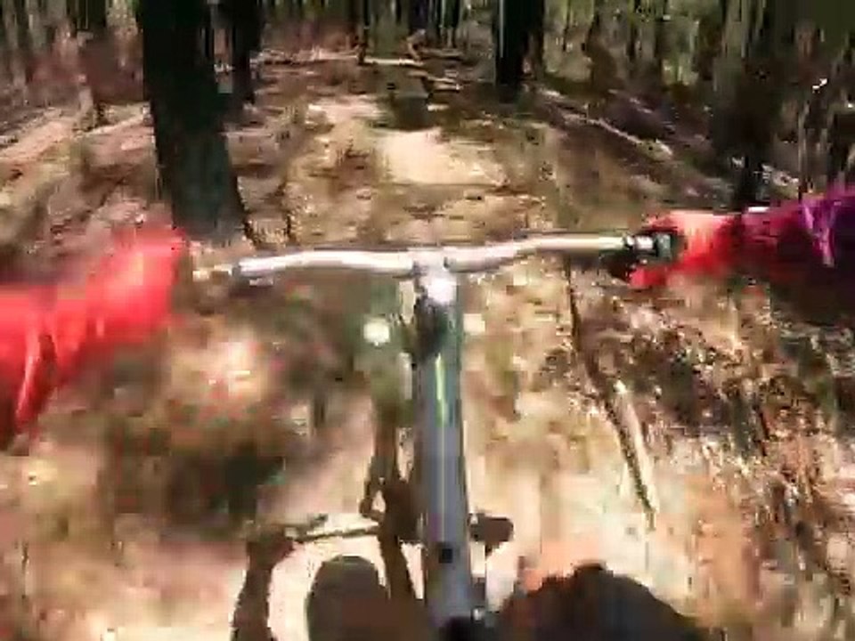 F1, Ricciardo si allena in bici... cantando