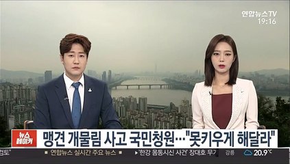 맹견 개물림 사고 국민청원…"못키우게 해달라"