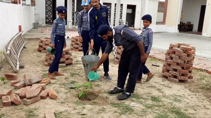 जमीयत यूथ क्लब कार्यकर्ताओं ने लगाए मलकपुर में 30 पौधे