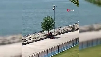 Tevfik Göksu'dan İBB'ye ağaç tepkisi