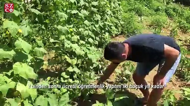 Şehirden kaçanlar...Atanamayan öğretmen pes etmeyince...