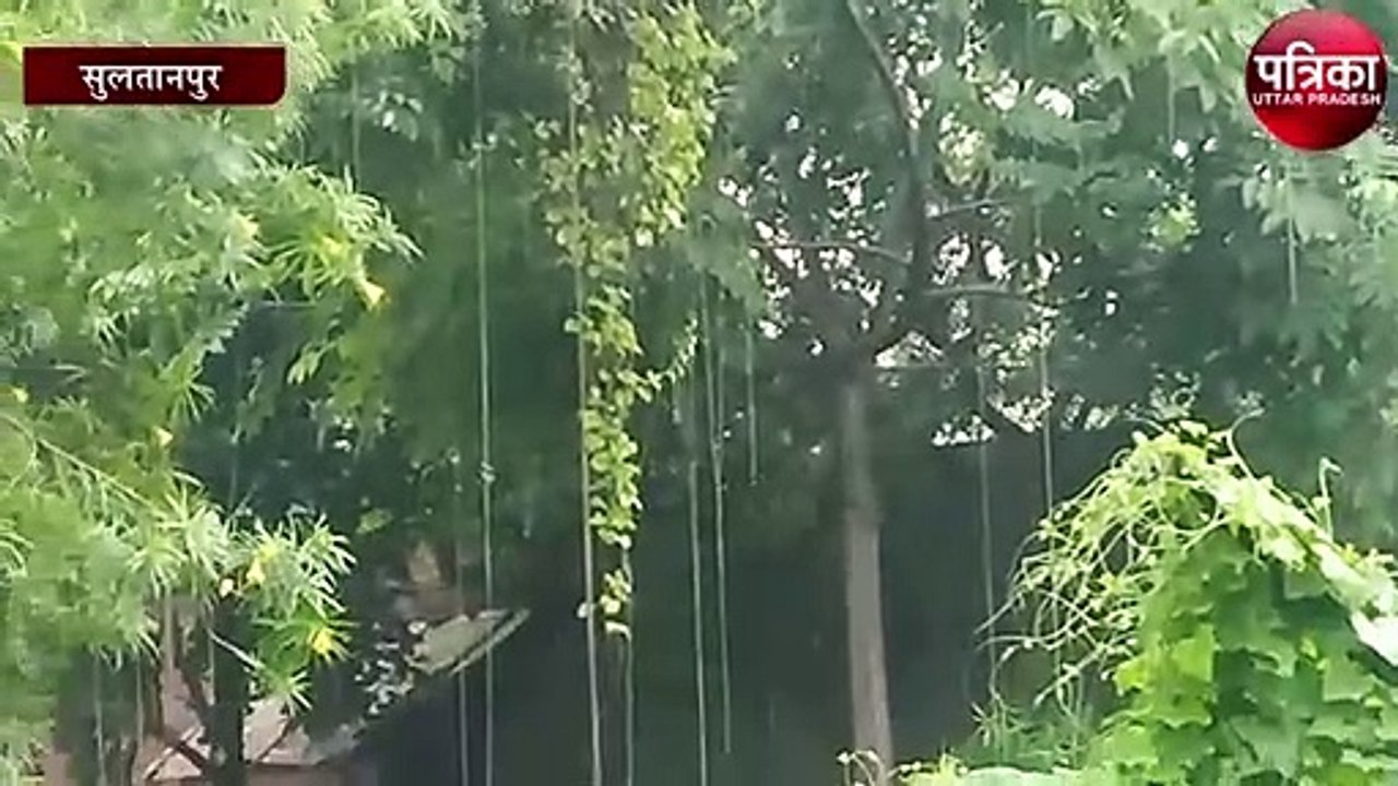 कोरोना के साथ-साथ ब्लड शुगर का रामबाण है यह दवा