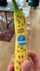 Fedez e la costosa acqua di Chiara Ferragni: il rapper tra ironia e polemica