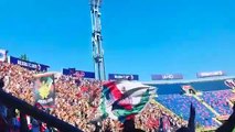 Bologna-Roma, spettacolo dei tifosi rossoblu