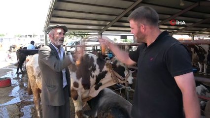 Korona virüse karşı sopa ve halatlarla kurban pazarlığı