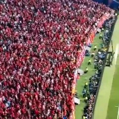 Invasione di campo Kinsey Wolanski ripresa dagli spalti