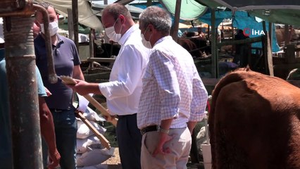 İzmir'de “sopalı” kurban pazarlığı