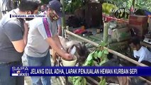 Jelang Idul Adha, Lapak Penjualan Hewan Kurban Sepi