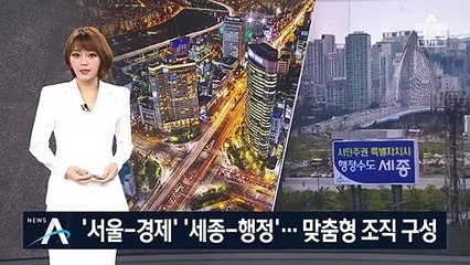서울은 경제수도, 세종은 행정수도…맞춤형 조직 구성