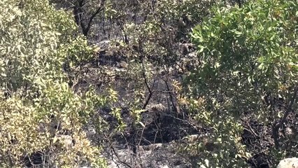 Örtü yangını söndürüldü - Lice Kaymakamı Bakkal'ın açıklaması- DİYARBAKIR