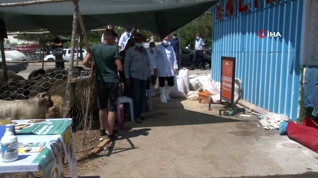 Et ve Süt Kurumu elde kalan kurbanlıkları alacak