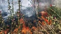 Bursa’da anız yangınları tehlike saçıyor