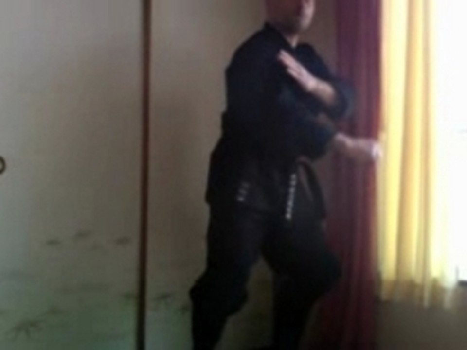 NINPO TAIJUTSU KYOTO JAPAN GOGYO NO KATA