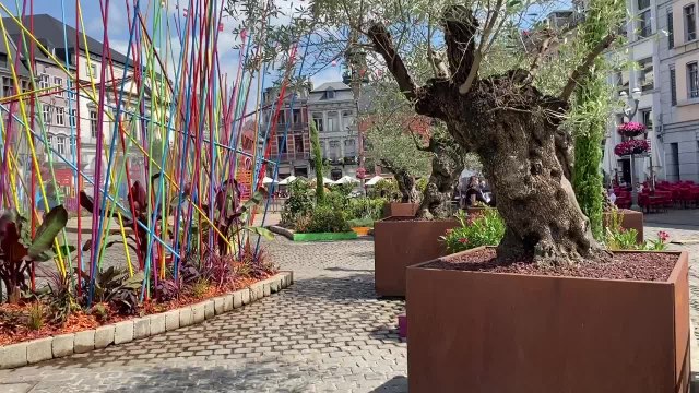 Les jardins éphémères sur la Grand’Place de Mons