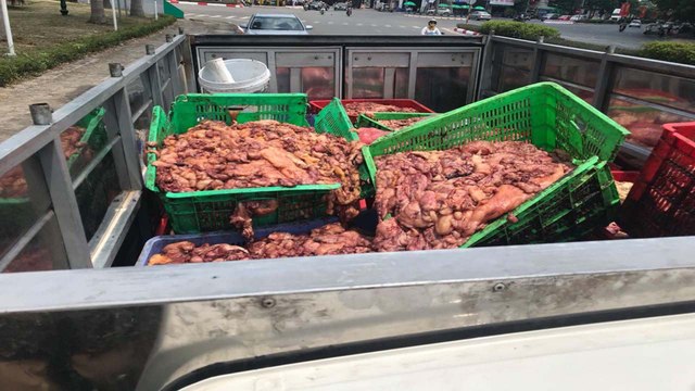 Hà Nội: Phát hiện xe chở hơn 1 tấn nội tạng bốc mùi | VTC