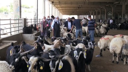 Kurban Bayramı'nda 'Kovid-19 tedbirlerine uygun kesim yapılmalı' uyarısı - DİYARBAKIR