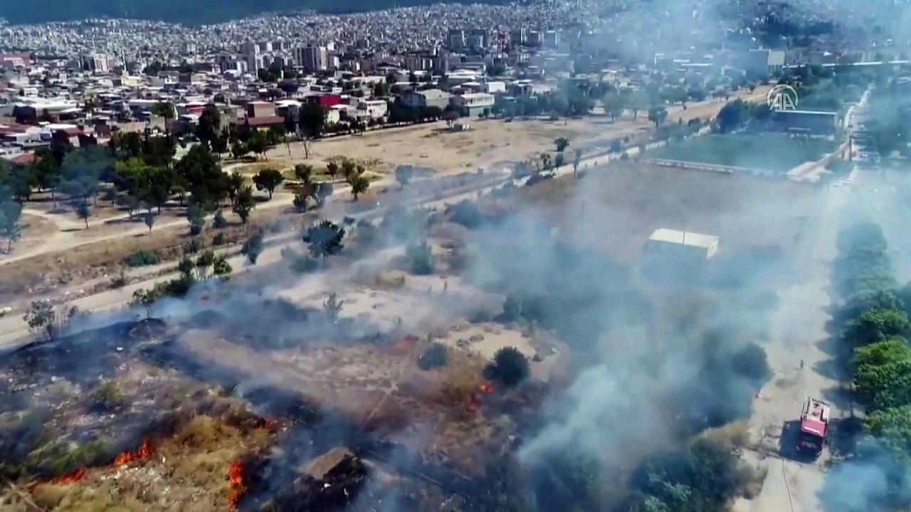 Otluk alanda yangın - BURSA
