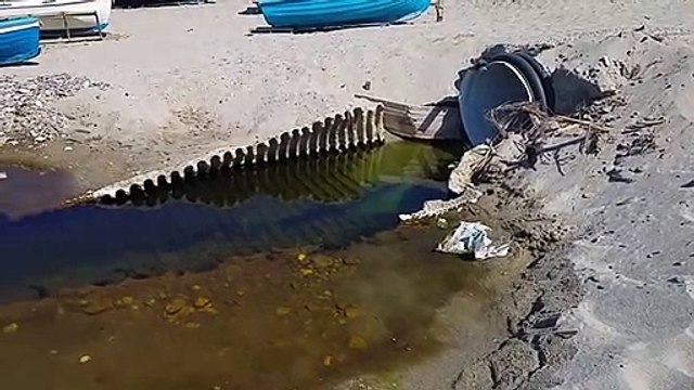 Reggio Calabria, sulla spiaggia di Catona uno scarico fognario a cielo aperto