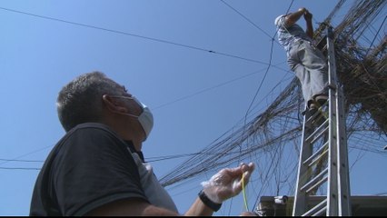 Iraqis protest over power cuts amid record summer temperatures